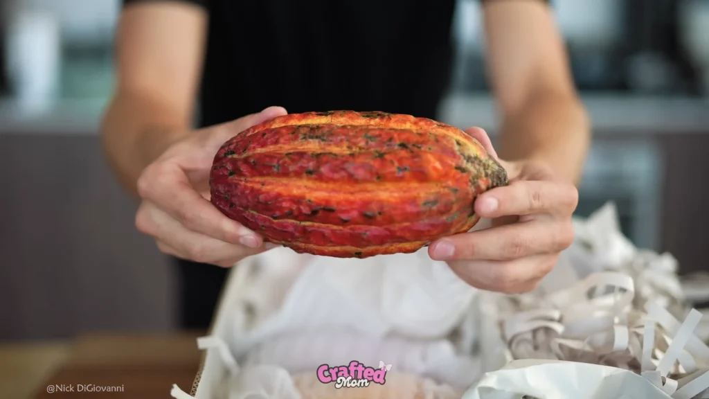 1. What Is Chocolate Really Made From - Homemade Milk Chocolate