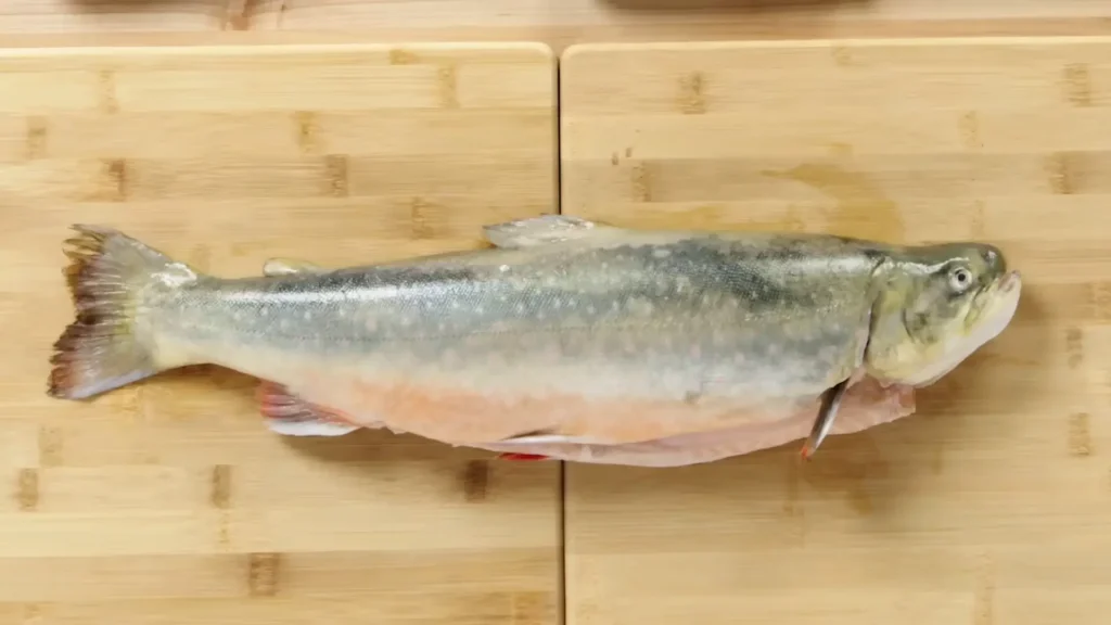 How to Fillet Arctic Char - How to Fillet Every Fish Like a Pro (Step-by-Step) - Arctic Char