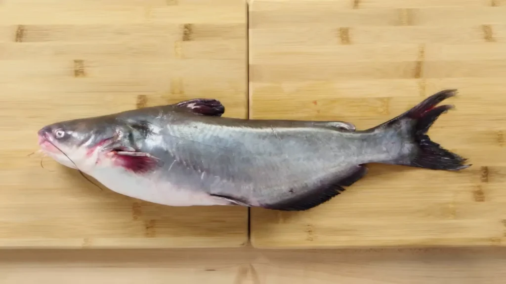 How to Fillet Catfish - How to Fillet Every Fish Like a Pro (Step-by-Step)