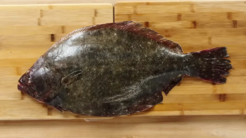 How to Fillet Fluke - How to Fillet Every Fish Like a Pro (Step-by-Step)