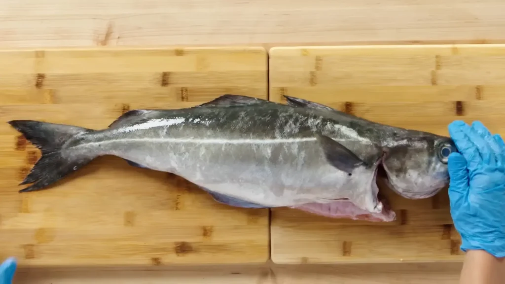 How to Fillet Pollock - How to Fillet Every Fish Like a Pro (Step-by-Step)