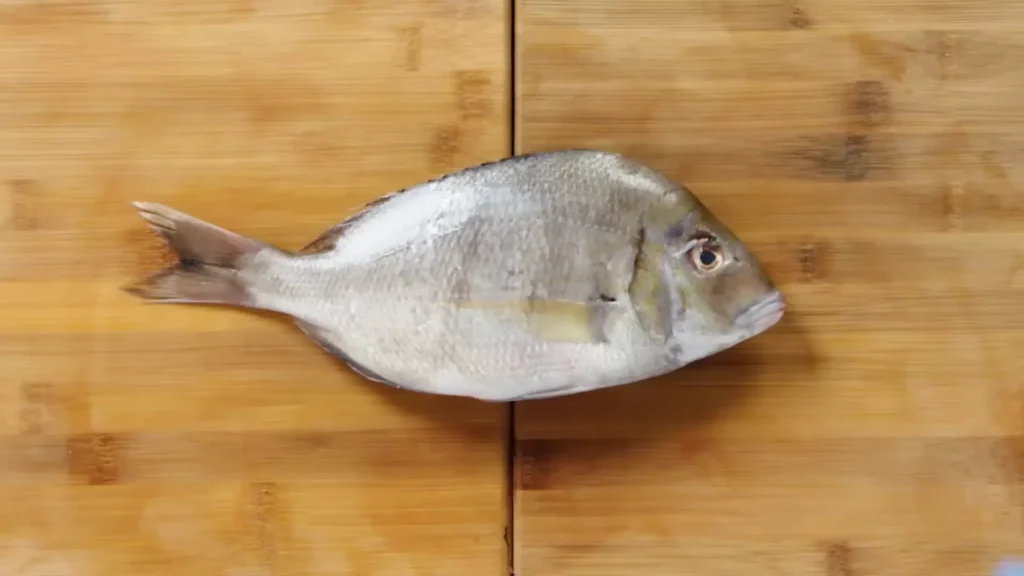 How to Fillet Porgy - How to Fillet Every Fish Like a Pro (Step-by-Step)