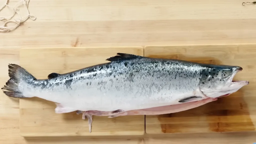 How to Fillet Salmon (for Steaks) - How to Fillet Every Fish Like a Pro (Step-by-Step)