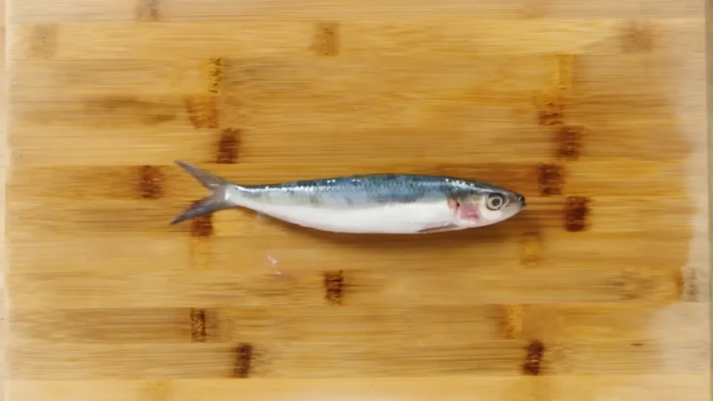 How to Fillet Sardines - How to Fillet Every Fish Like a Pro (Step-by-Step)