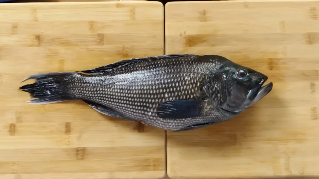 How to Fillet Sea Bass (Black and Branzino) - How to Fillet Every Fish Like a Pro (Step-by-Step)
