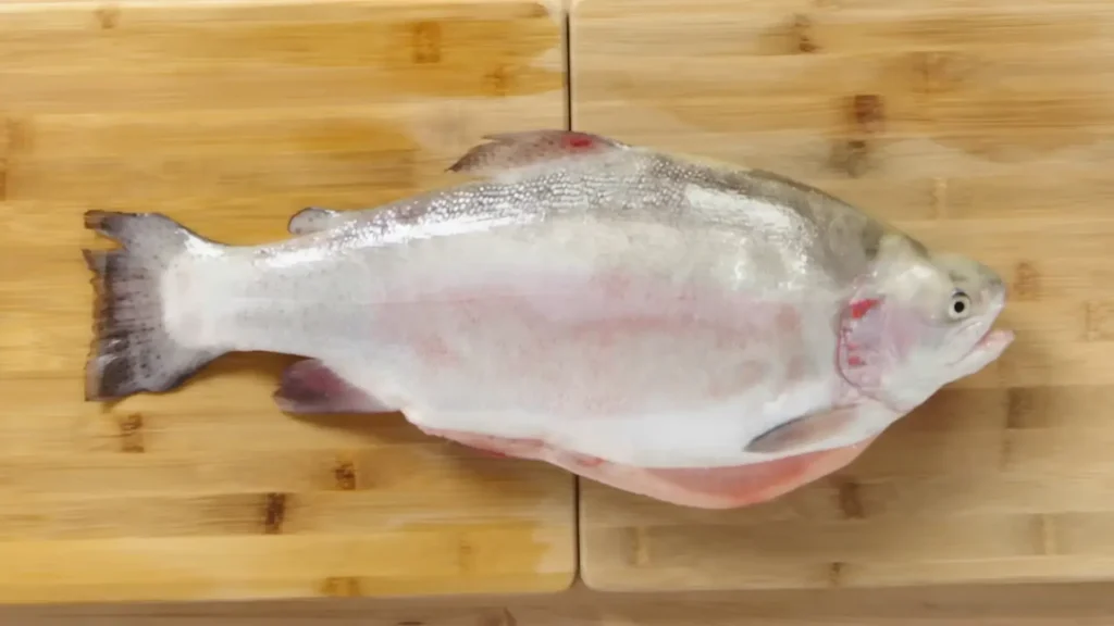 How to Fillet Steelhead Trout - How to Fillet Every Fish Like a Pro (Step-by-Step)