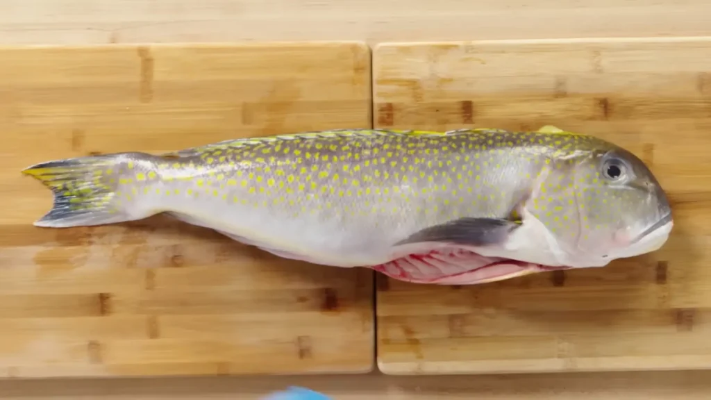 How to Fillet Tilefish - How to Fillet Every Fish Like a Pro (Step-by-Step)