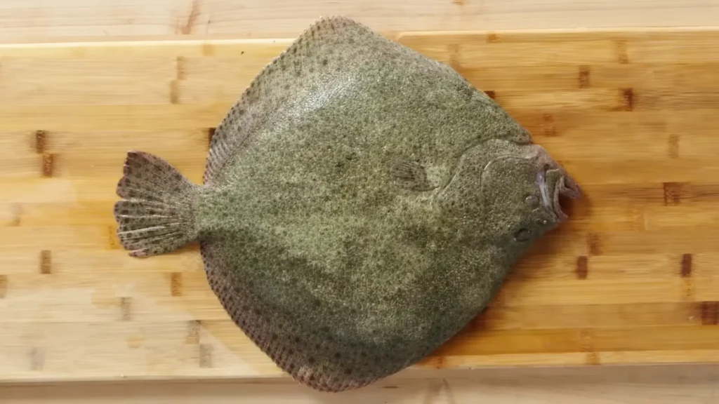 How to Fillet Turbot - How to Fillet Every Fish Like a Pro (Step-by-Step)